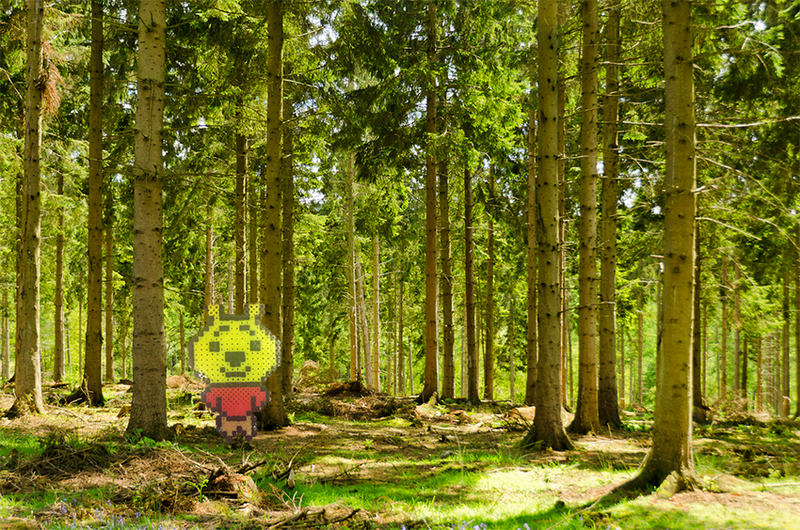 Forest.png